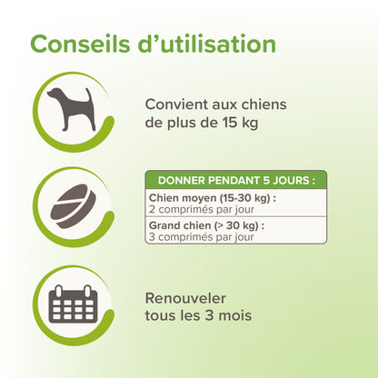 Vermipure comprimés Purge grand chien
