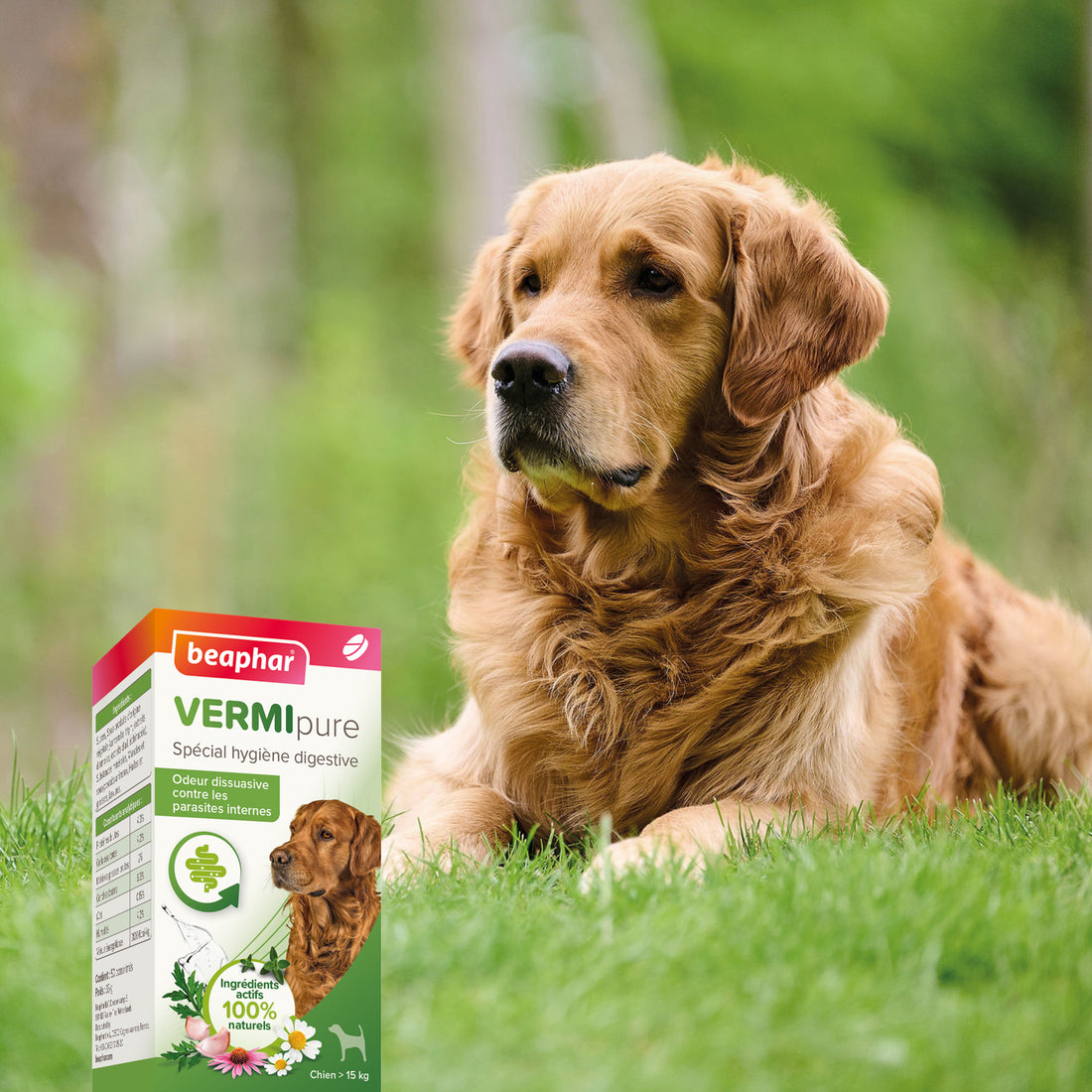 Vermipure comprimés Purge grand chien