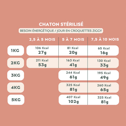 Ziggy poulet - croquettes chaton