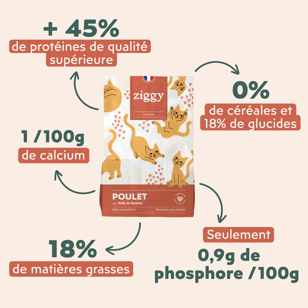 Ziggy poulet - croquettes chaton