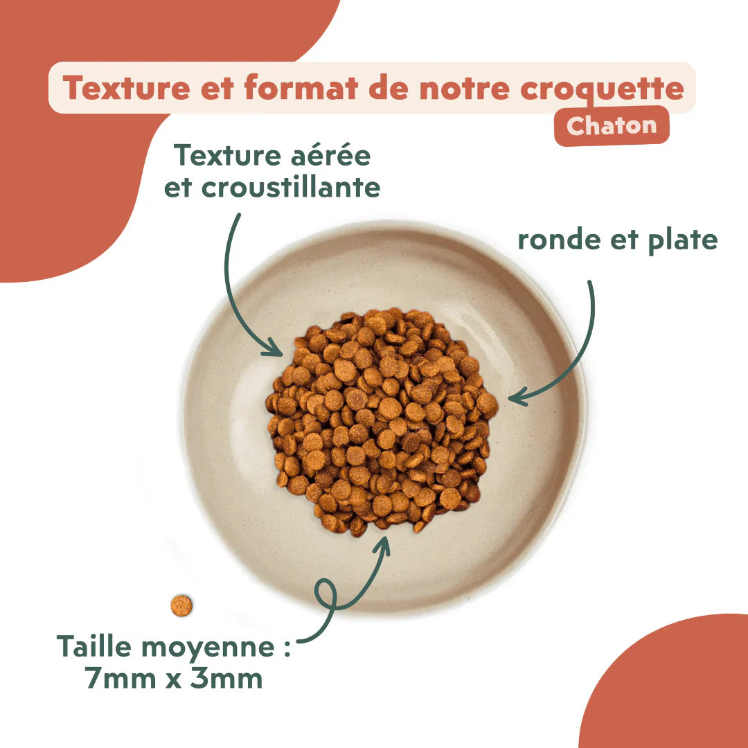 Ziggy poulet - croquettes chaton