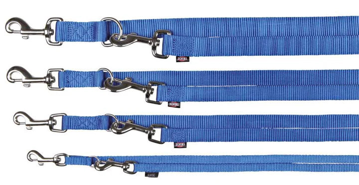 Laisse premium reglable pour chien