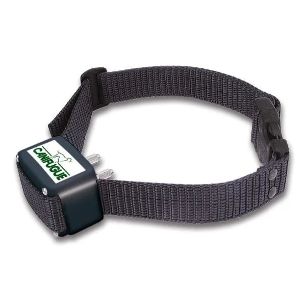 Collier anti-fugue Canifugue (ancien modèle) chien