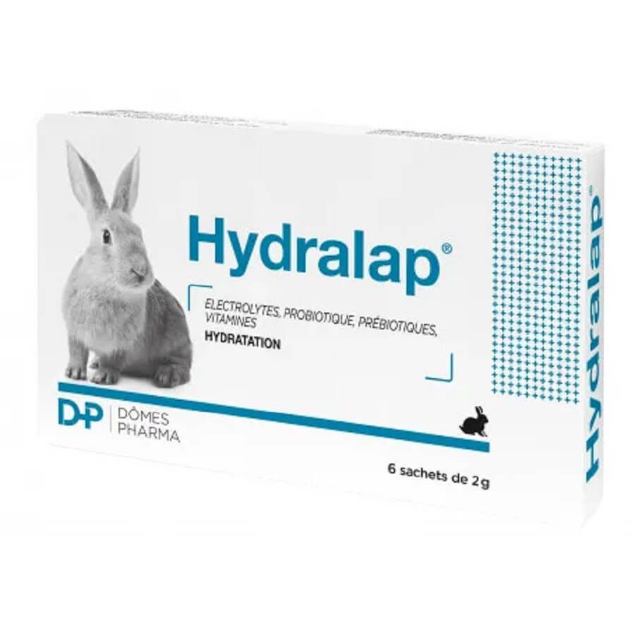 Hydralap lapin