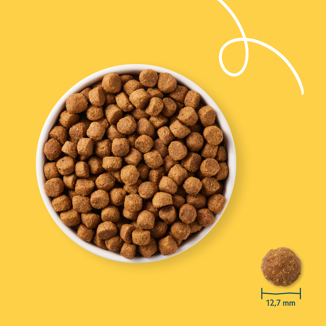 Yarrah croquettes bio chien
