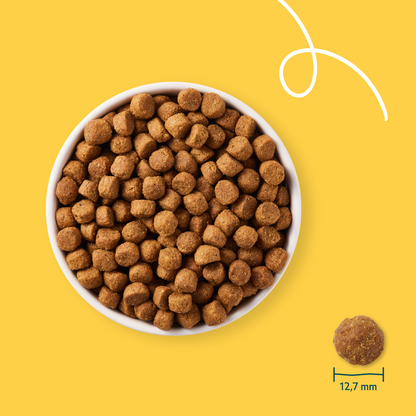 Yarrah croquettes bio chien