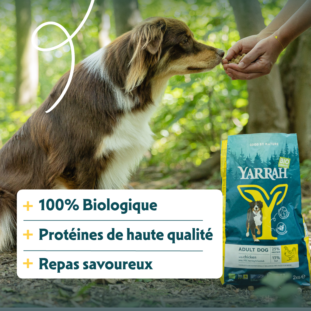 Yarrah croquettes bio chien