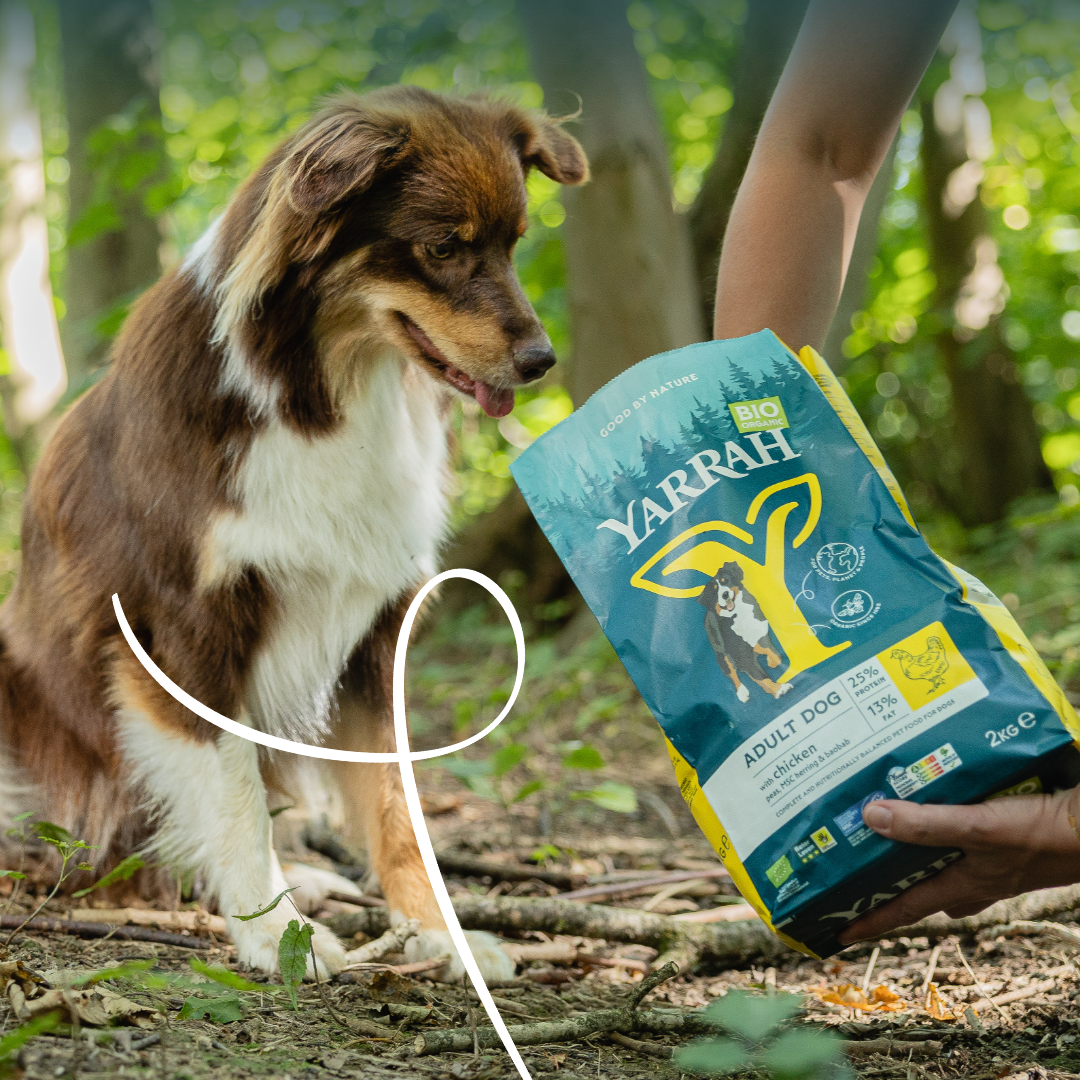 Yarrah croquettes bio chien