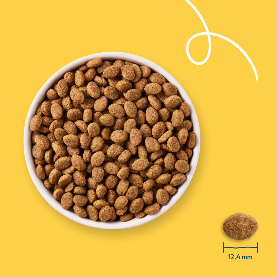 Yarrah Bio senior - croquettes chien