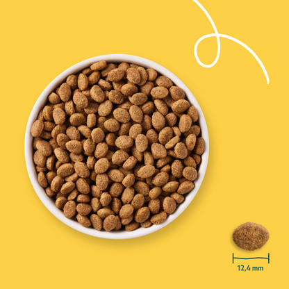 Yarrah Bio senior - croquettes chien