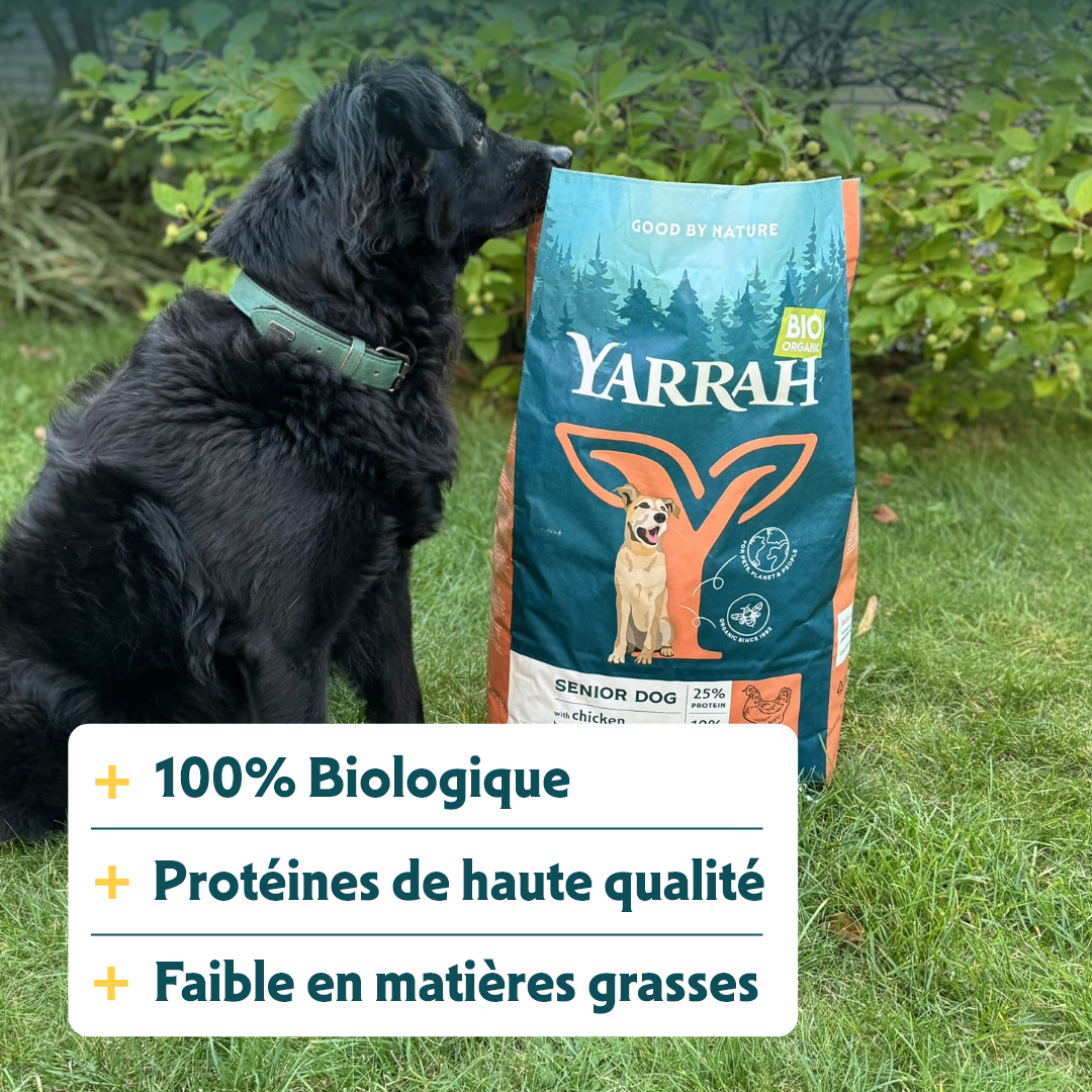 Yarrah Bio senior - croquettes chien