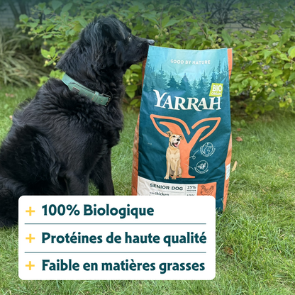Yarrah Bio senior - croquettes chien