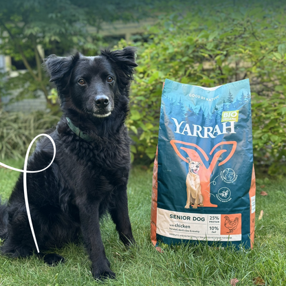 Yarrah Bio senior - croquettes chien