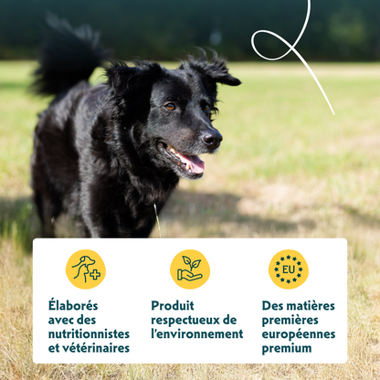Yarrah Bio senior - croquettes chien