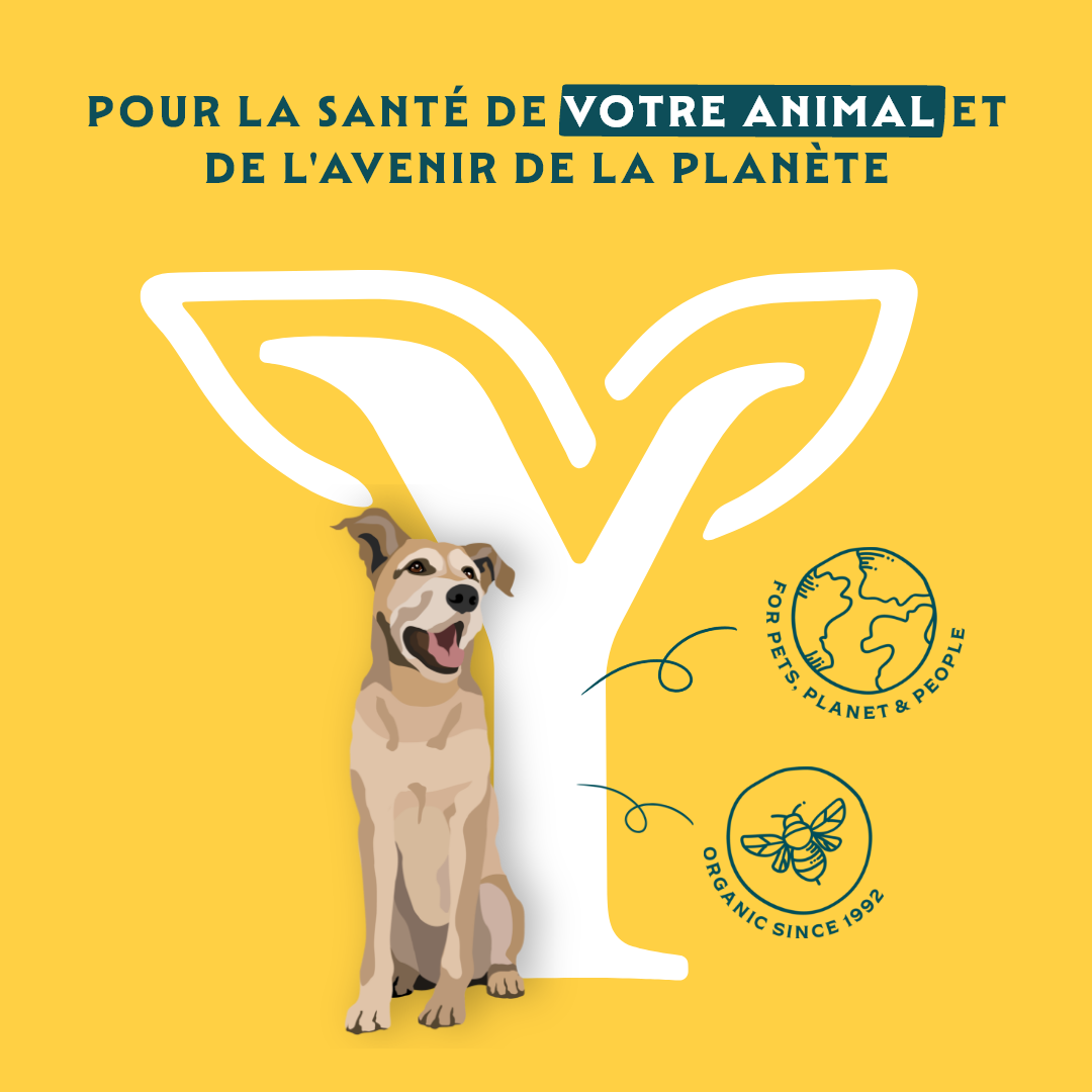 Yarrah Bio senior - croquettes chien
