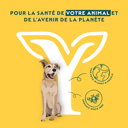 Yarrah Bio senior - croquettes chien