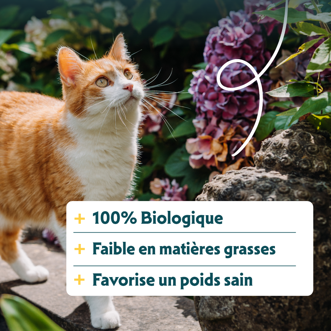Yarrah croquettes Bio pour chat stérilisé