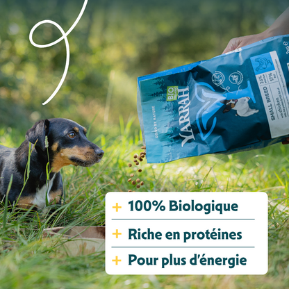 Yarrah bio petite race - croquettes chien