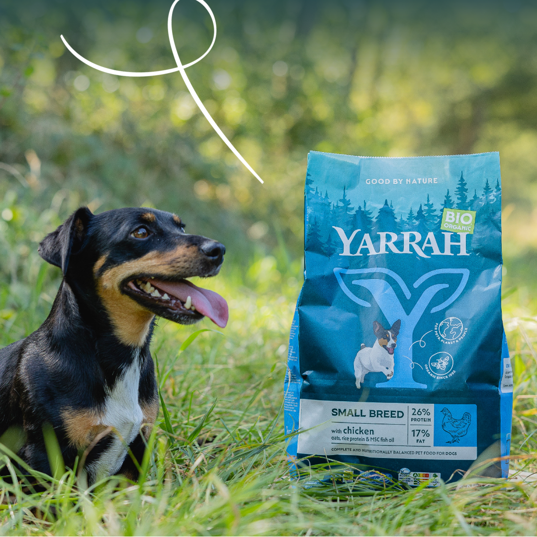 Yarrah bio petite race - croquettes chien