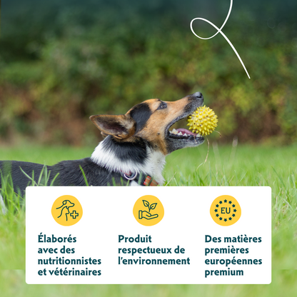 Yarrah bio petite race - croquettes chien