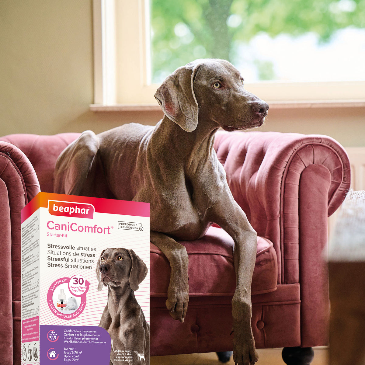 Diffuseur CaniComfort® chiot, chien