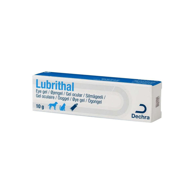 Lubrithal chat, chien