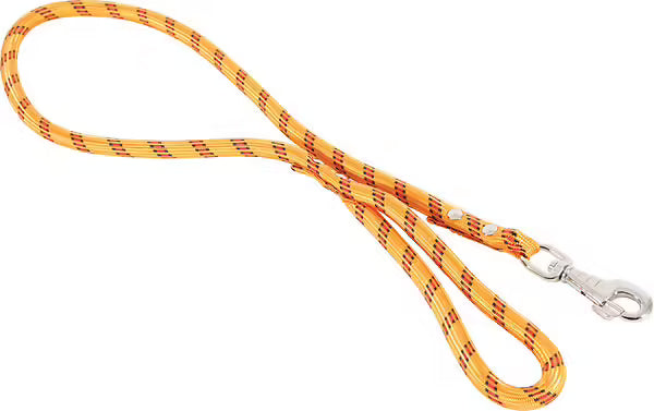 Laisse nylon corde