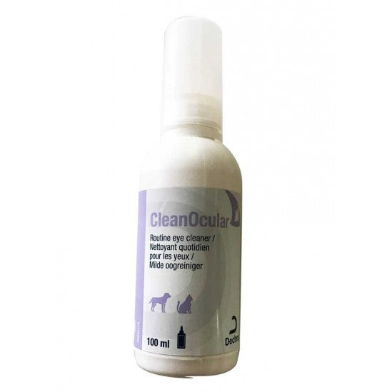CleanOcular chat, chien