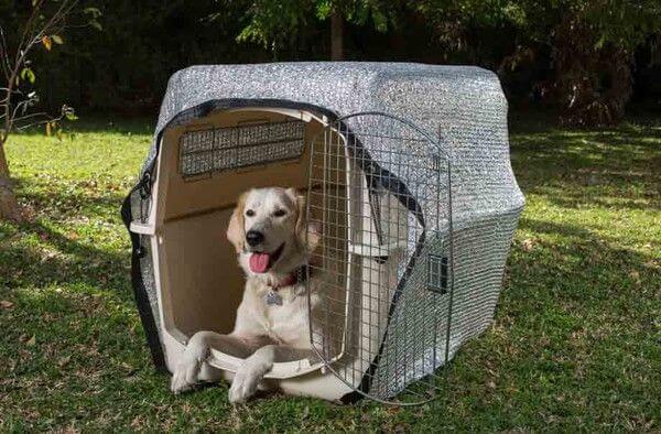 Couverture anti-chaleur Be Cool Solutions chien