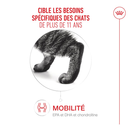 Royal Canin Ageing 11+ - croquettes chat