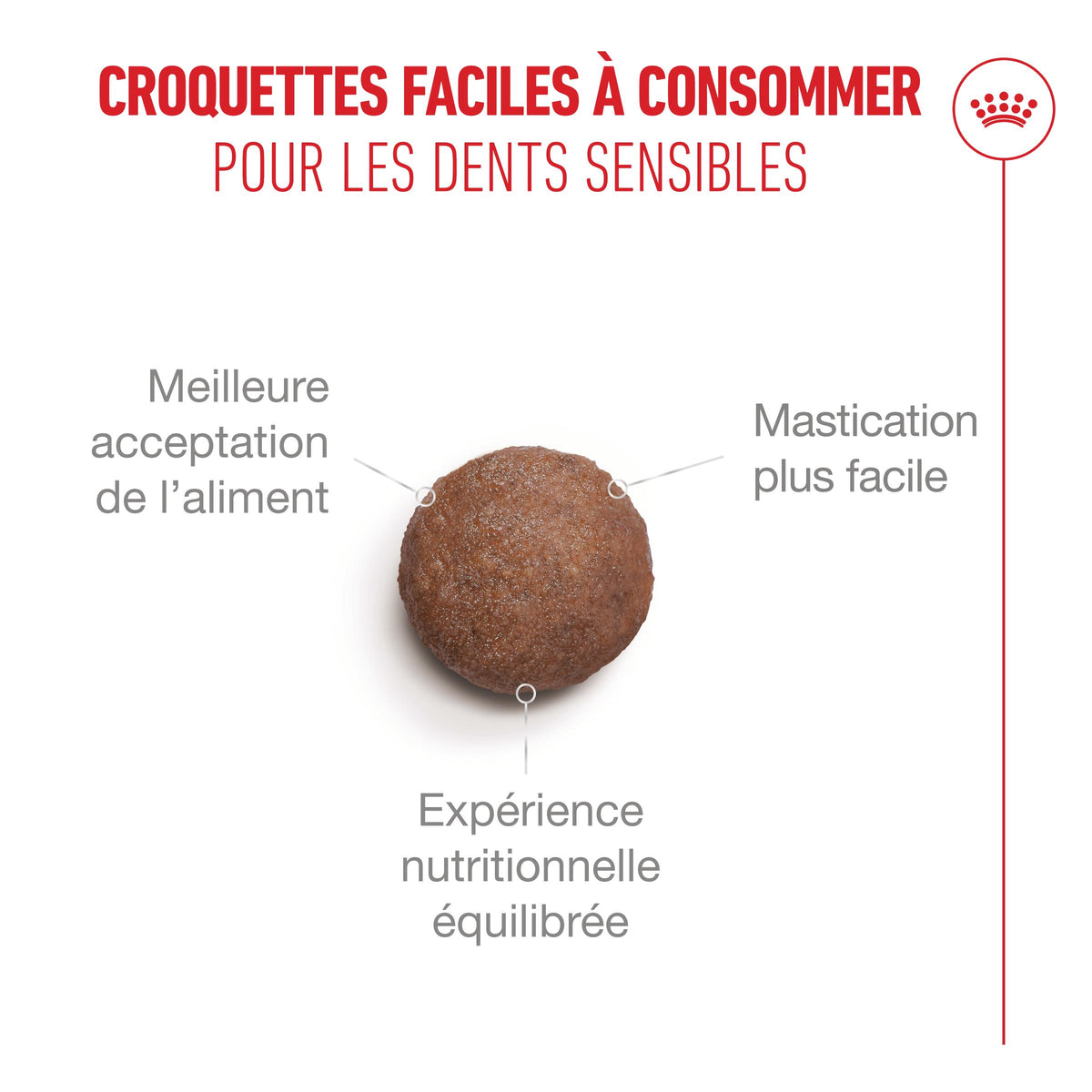 Royal Canin Ageing 11+ - croquettes chat