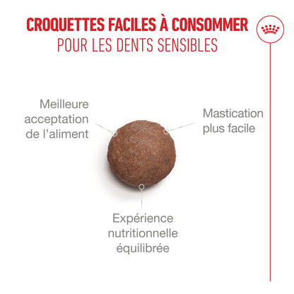Royal Canin Ageing 11+ - croquettes chat