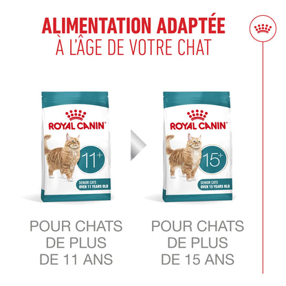 Royal Canin Ageing 11+ - croquettes chat