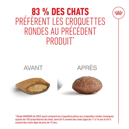 Royal Canin Ageing 11+ - croquettes chat