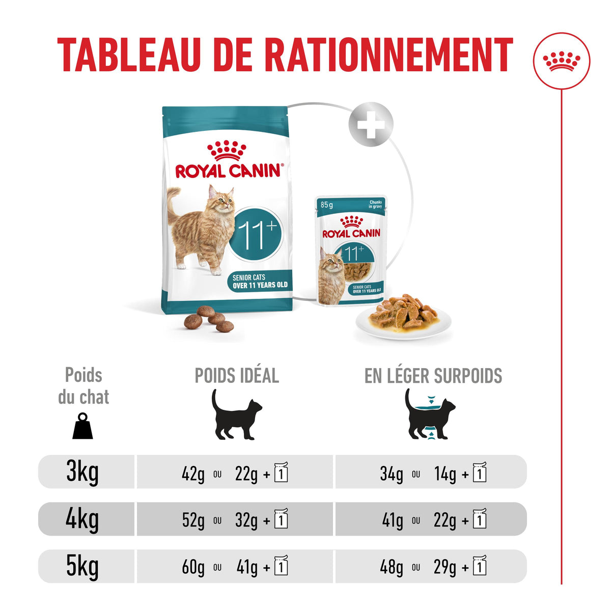 Royal Canin Ageing 11+ - croquettes chat