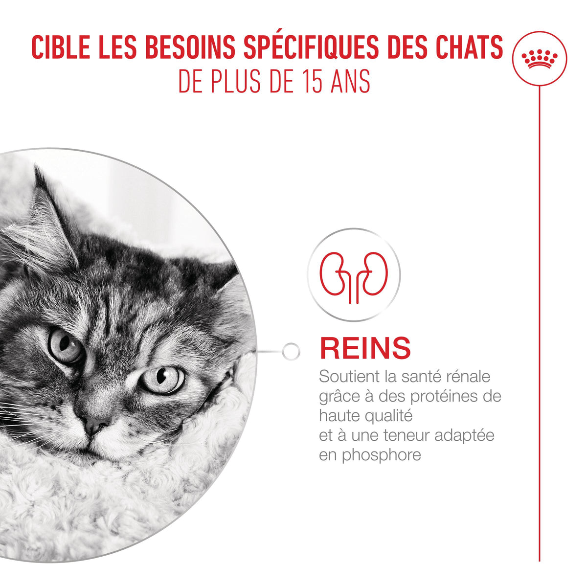Royal Canin Ageing 15 + - croquettes chat