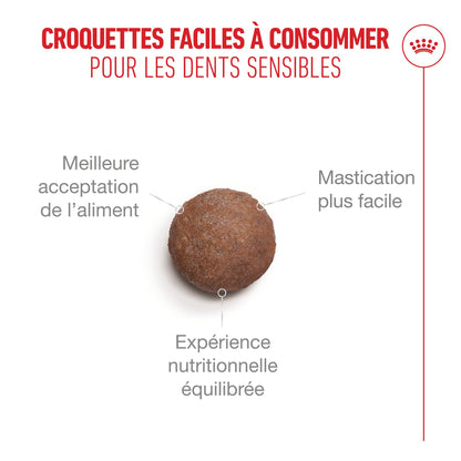Royal Canin Ageing 15 + - croquettes chat