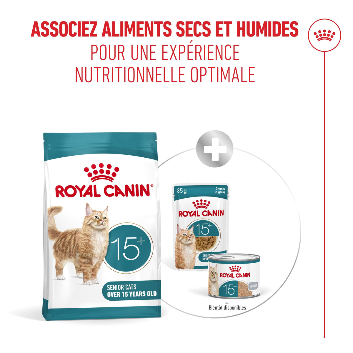 Royal Canin Ageing 15 + - croquettes chat