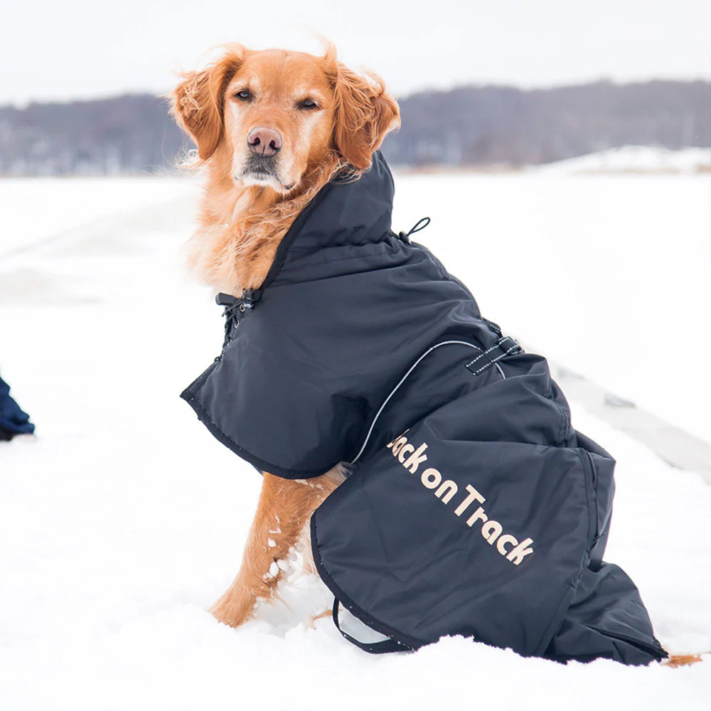 Manteau Back On Track chien