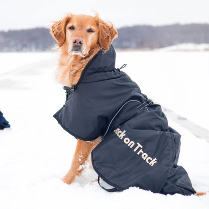 Manteau Back On Track chien
