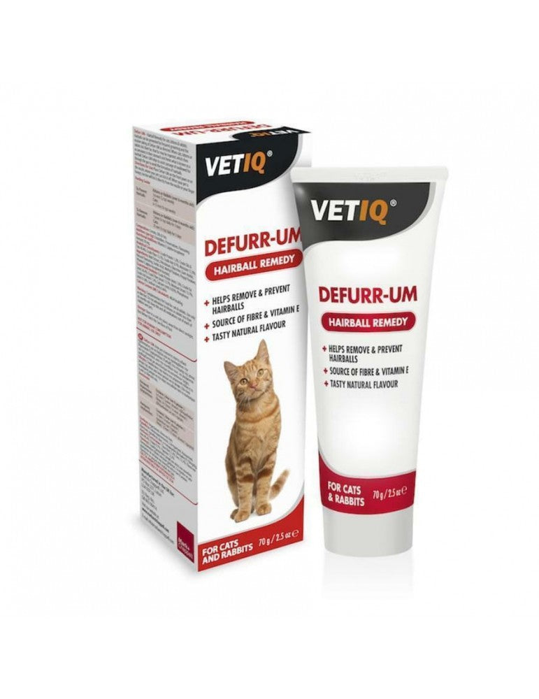 Defurr-Um chat, lapin