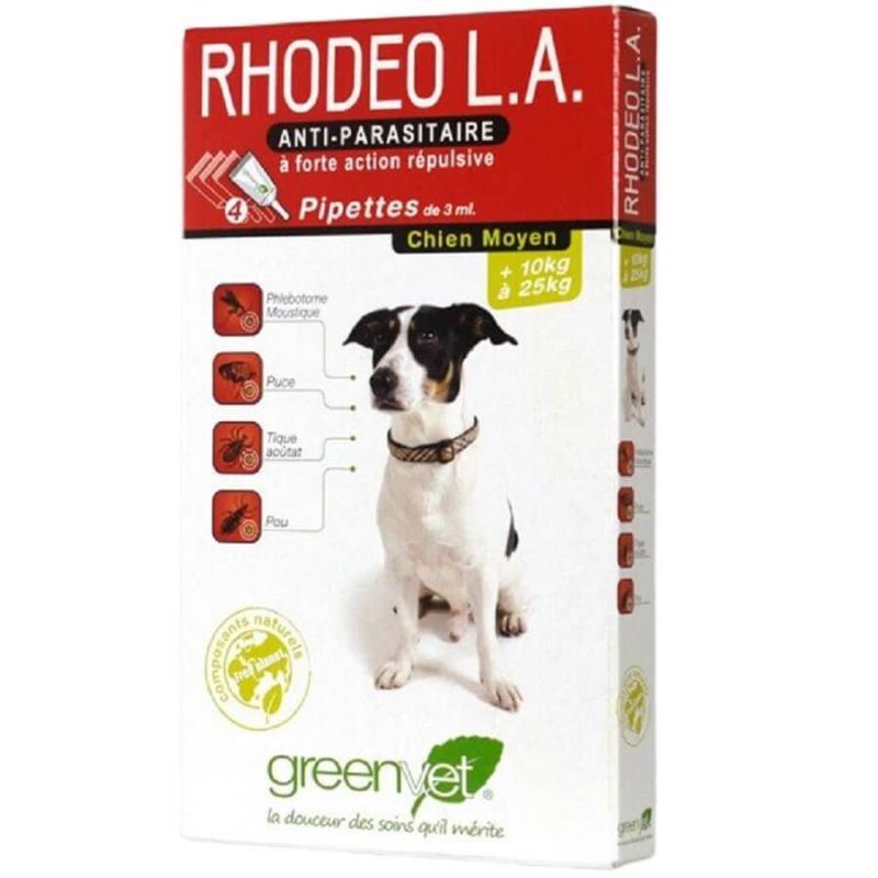 Rhodeo L.A. chien