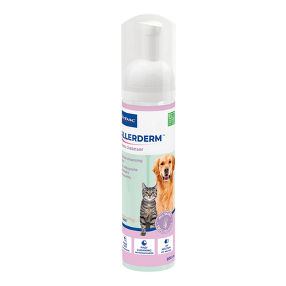 Allerderm Foam chat, chien