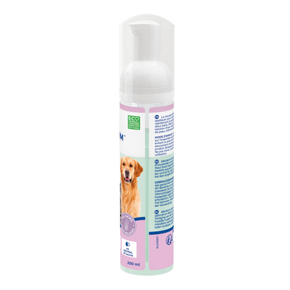 Allerderm Foam chat, chien