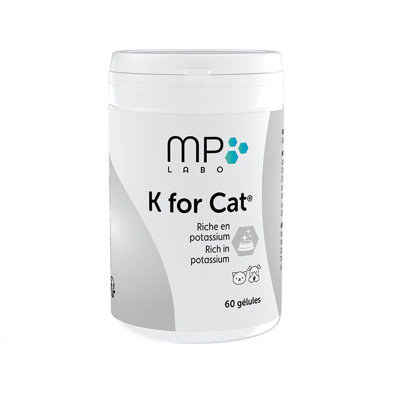 K for Cat chat, chien