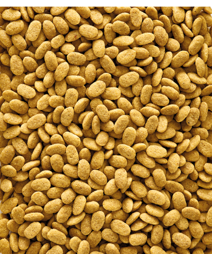 Nutribird granulés P15 perroquets