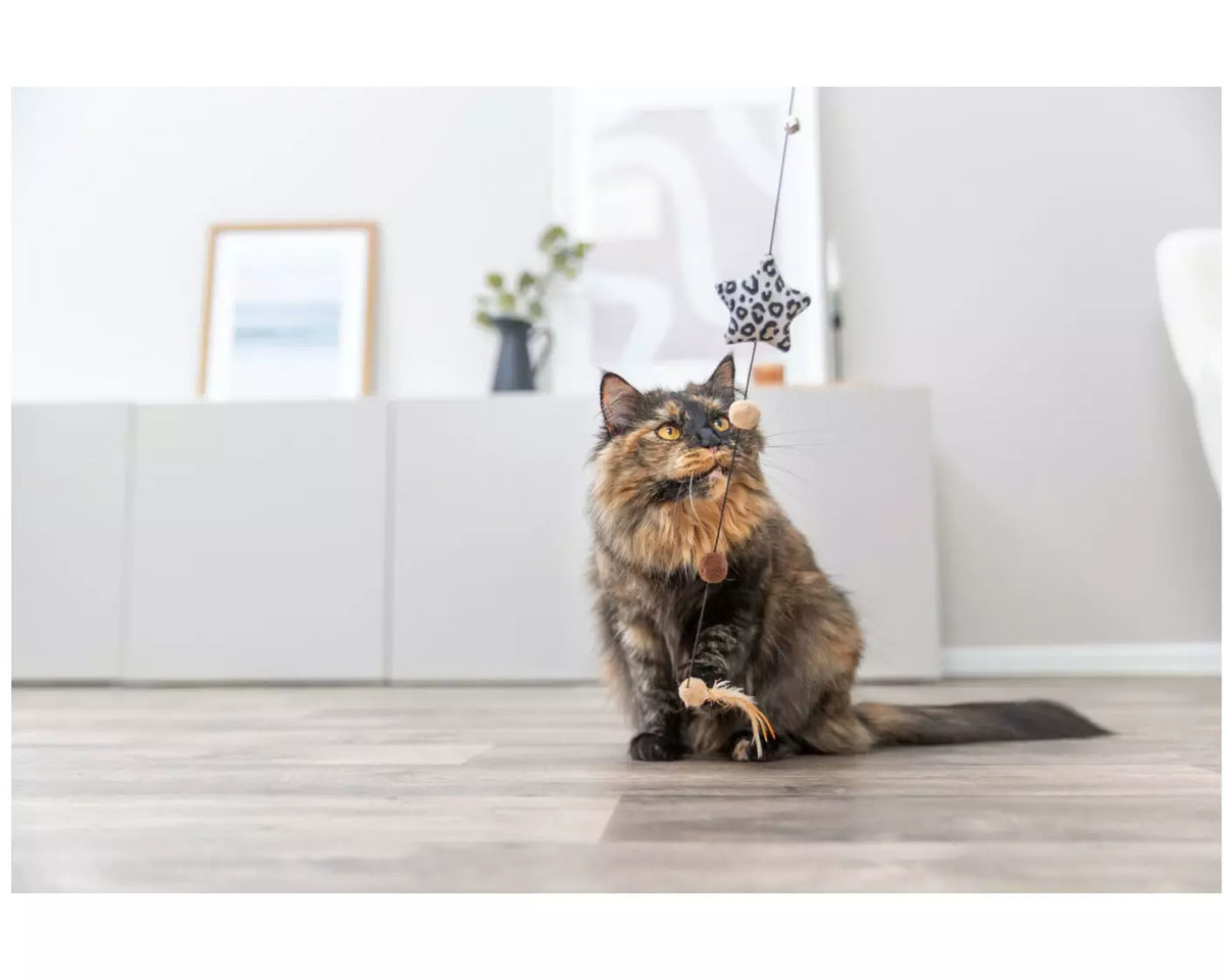 Canne à pêche Etoile Leo chat