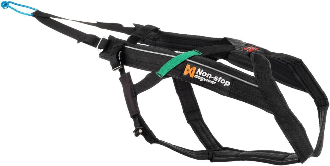 Harnais Freemotion