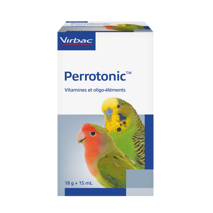 Perrotonic oiseaux