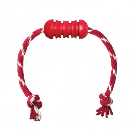 Jouet Dental Kong chien